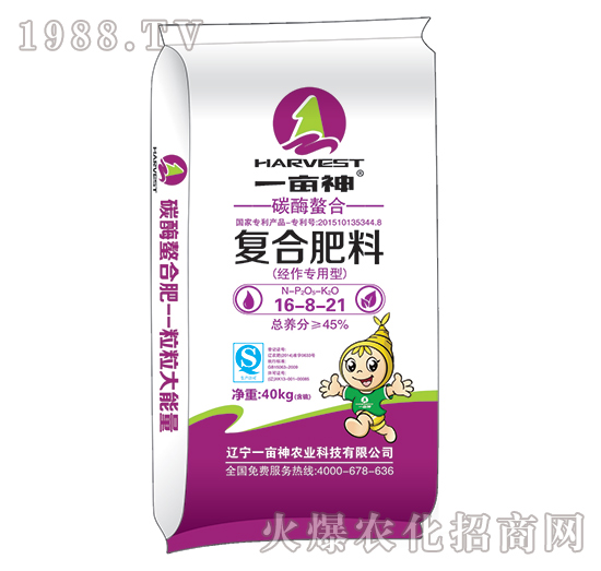 ����������̼ø���ϏͺϷ�16-8-21-һ����