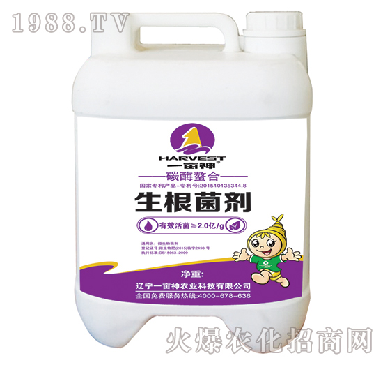 ̼ø������������-һ����