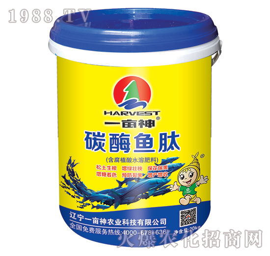 ̼ø�~��-һ����