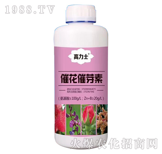 �߻���ѿ��-����ʿ-�а����r