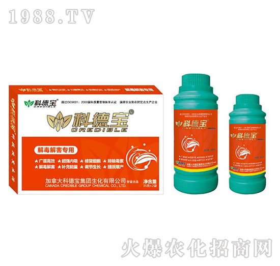 �ⶾ�⺦���àI�B(y��ng)���a�{�턩-�Ƶ�