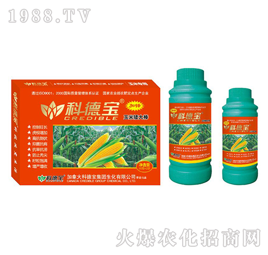 ���׌��àI(y��ng)�B(y��ng)���a(ch��n)���؄�-���װ����-�Ƶ�