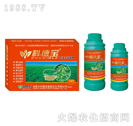 �����󶹌�(zhu��n)�àI(y��ng)�B(y��ng)���a(ch��n)�{(di��o)�턩-�Ƶ�