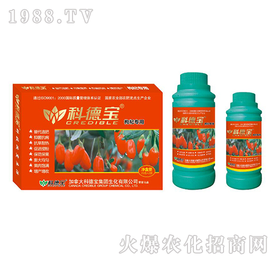 ��轌��àI(y��ng)�B(y��ng)���a(ch��n)�{(di��o)�턩-�Ƶ�