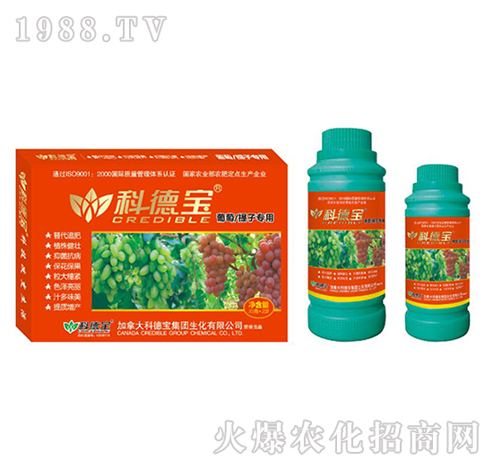 ���ѡ����ӌ��àI�B(y��ng)���a(ch��n)�{(di��o)�턩-�Ƶ�