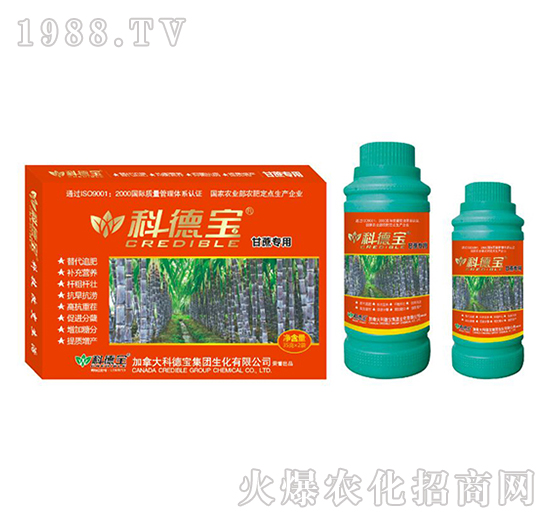 甘蔗專用營養(yǎng)增產(chǎn)調(diào)理劑-科德寶