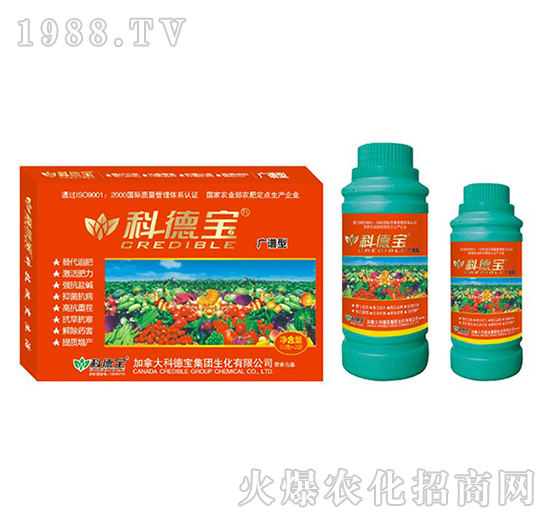 �V�V�͠I(y��ng)�B(y��ng)���a(ch��n)�{(di��o)�턩-�Ƶ�