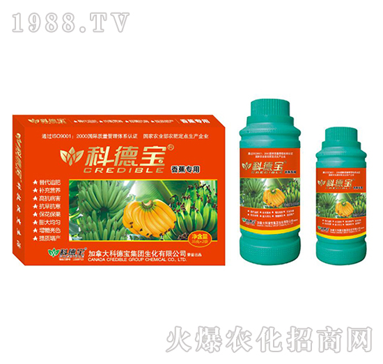 �㽶���àI(y��ng)�B(y��ng)���a(ch��n)�{(di��o)�턩-�Ƶ�