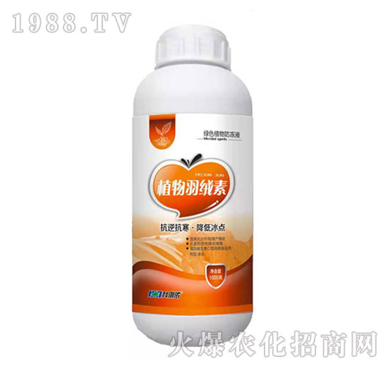 ֲ����q��-�����r