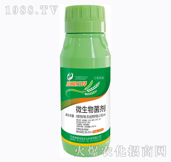 ΢�������-�����ɰ�С��-��̩���