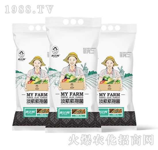 �������߾�-��������