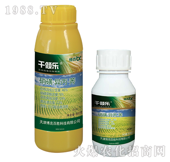 46%���ǡ�������ݬ-���˰ل�