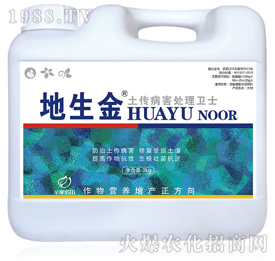 ��������̎���l(w��i)ʿ-������-�Z��