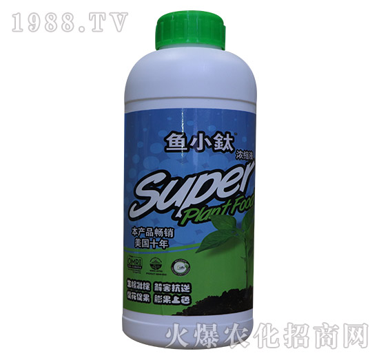 �~����-�~С�-���º���