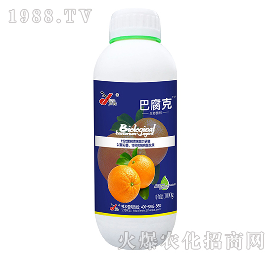 �������-�͸���-꿾�