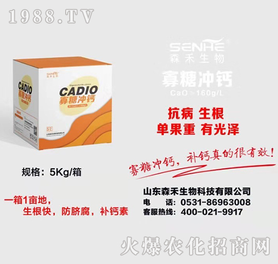 ���Ǜ_�}-ɭ������