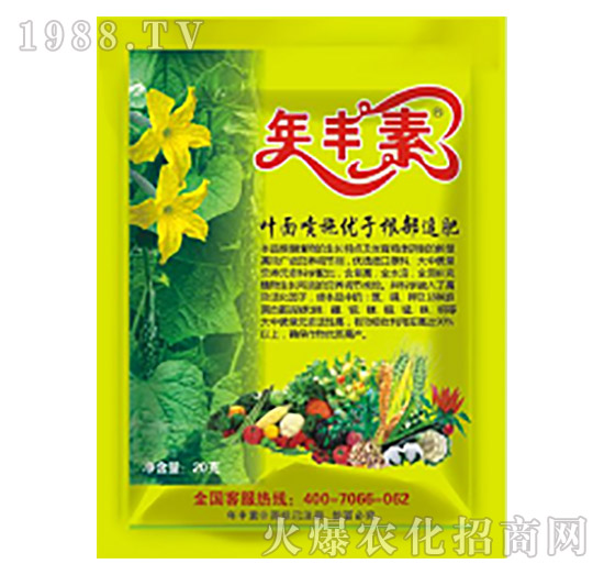 ���S��-�滯���h