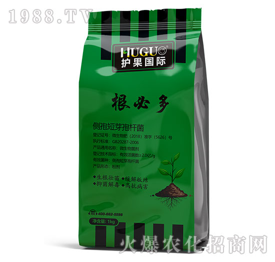 ���ض�-�o(h��)�����H