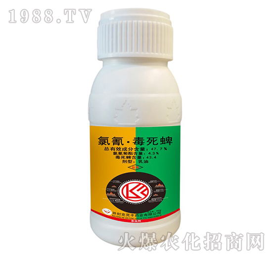 47.7%���衤������-���`�S