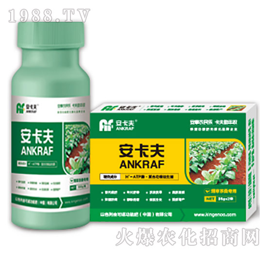 ���ݲ�ɣ�����~���-������