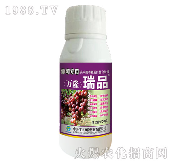 ���ь��øߝ�s��(d��ng)�ﵰ��������Һ-��Ʒ-���S�f¡