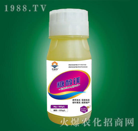 �Ǵ��V-�W�ʩ