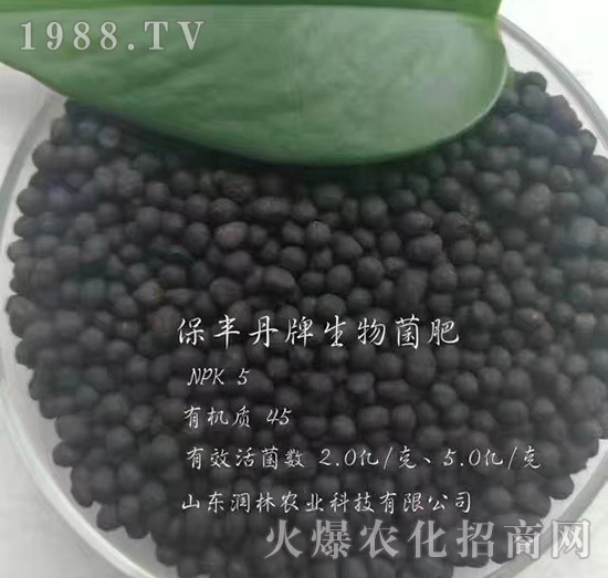 �������-���S��-�����r(n��ng)�I(y��)