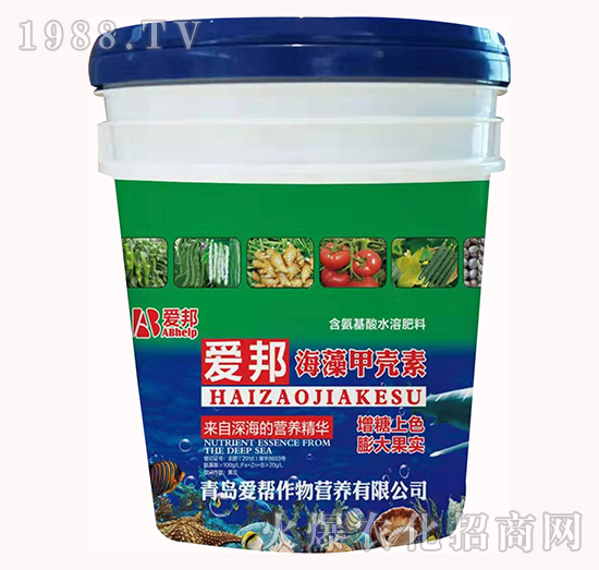 ����ך���-�۰�