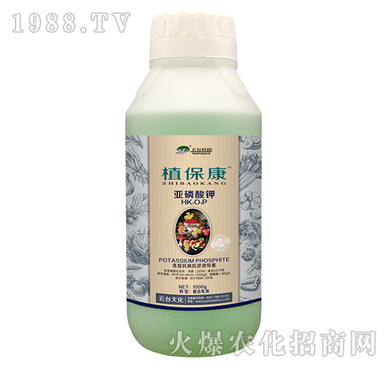 1000gֲ����-���_(t��i)��