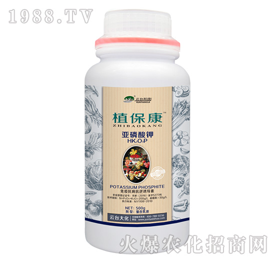 500gֲ����-���_��