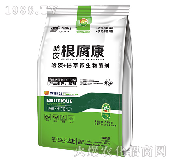 ���ĸ�����-���_(t��i)��