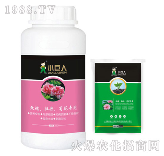 õ����ĵ�����ջ������{(di��o)��(ji��)��-С����