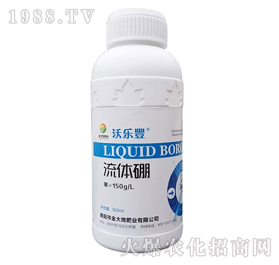 ���w��-����