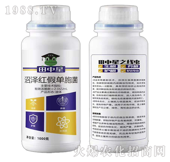 �ӝɼt�نΰ���-������