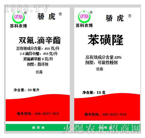 10%����¡+459��ÿ���p����������-�K�ƻ���