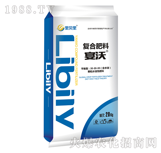 ƽ���͏�(f��)�Ϸ���20-20-20-����-��ؐ��