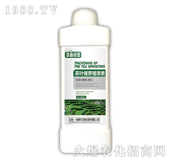 ���~��ѿ������-Ҽ������