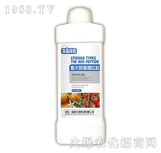 ���������t��-Ҽ������