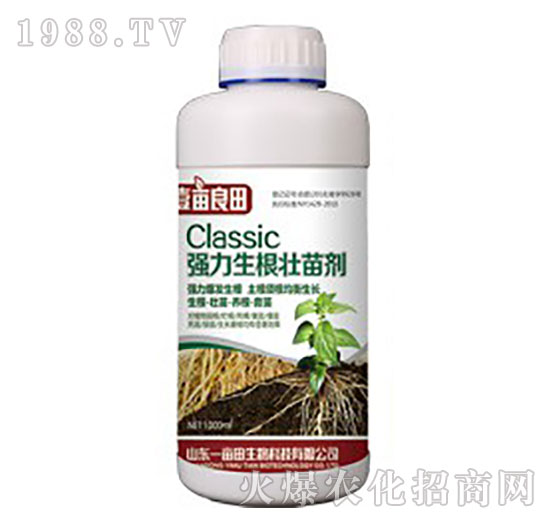 �����������焩-Ҽ������