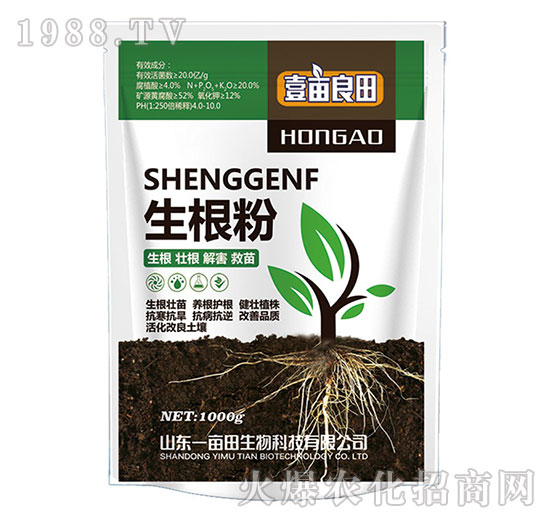 ������-Ҽ������