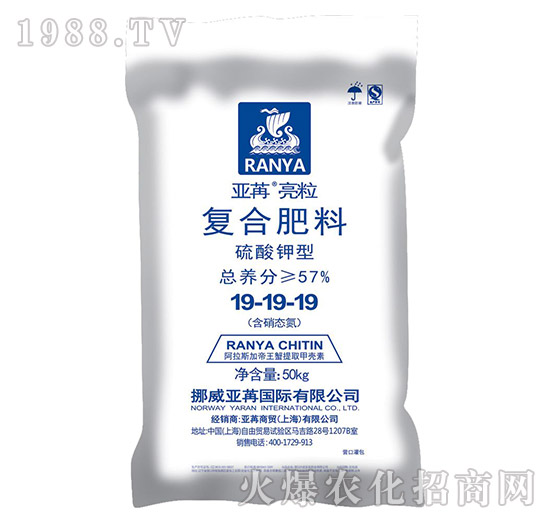 ������͏�(f��)�Ϸ���19-19-19-��������-���ۇ�(gu��)�H