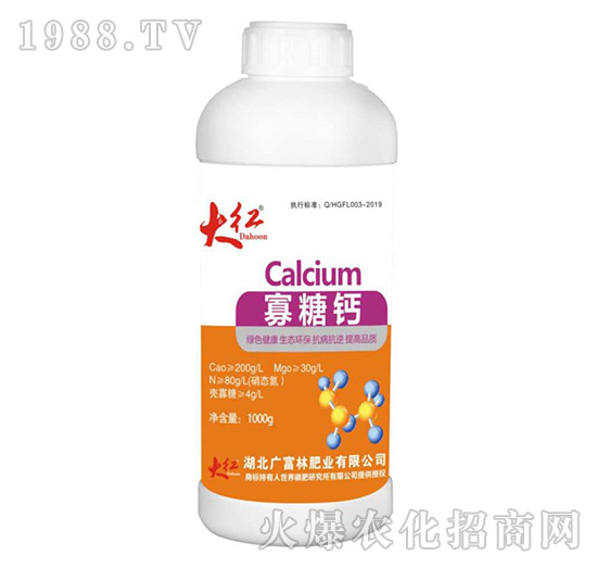 �����}-��t-�V���ַʘI(y��)