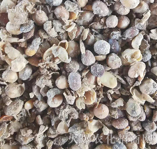 �������l(f��)�ʹ�-�|������