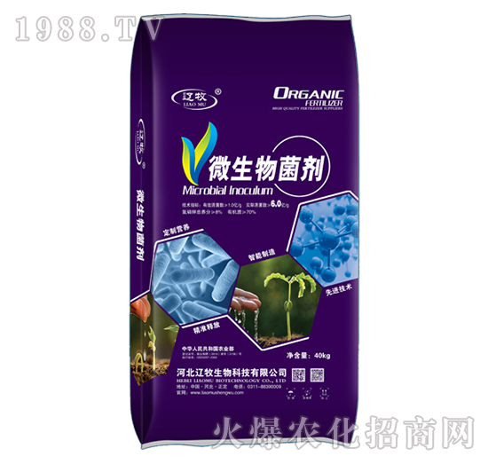 6.0�|ÿ��΢�������-�|������