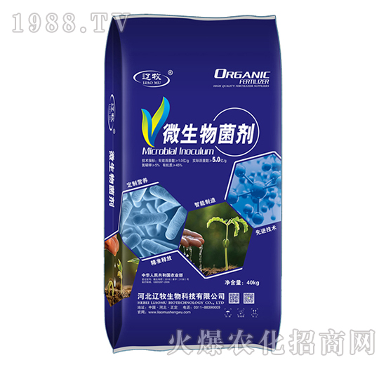 5.0�|ÿ��΢�������-�|������