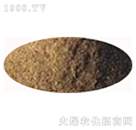 ԭ��-ɭ������