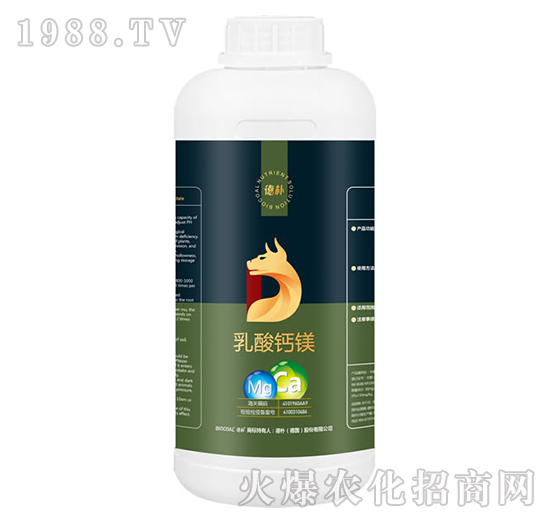 �����}�V-��