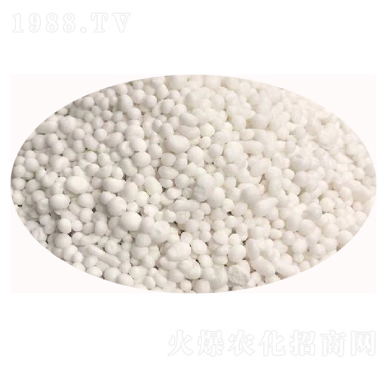 ���������30-4-0-��ʢ��ҫ