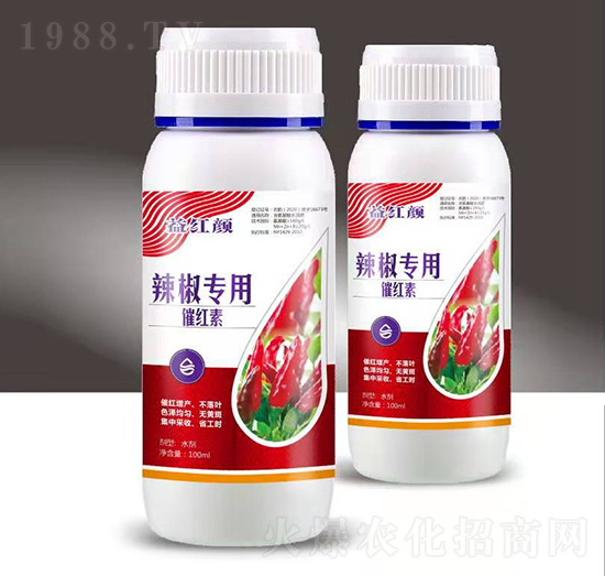 �������ô߼t��-��t�-��M�}