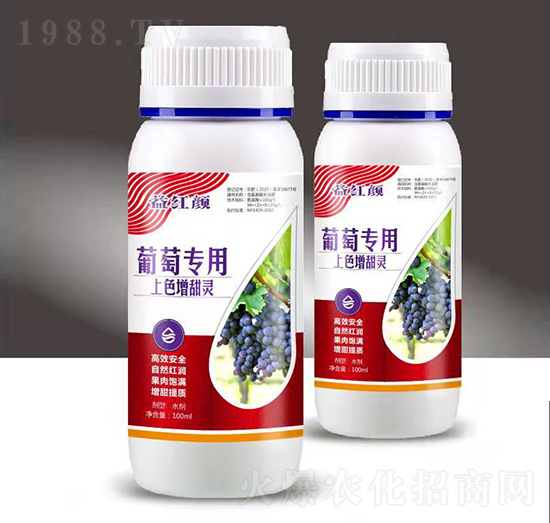 ���ь�(zhu��n)����ɫ�����`-��t�-��M(m��n)�}(c��ng)